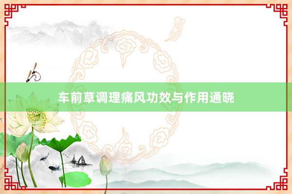 车前草调理痛风功效与作用通晓